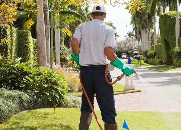 About Summitville NY Pest Control